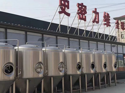 南明精酿啤酒设备厂—市场规模与跨界新需求